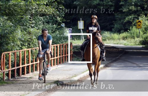 Amsterdamse Bos 26 juni 2021
Fajah Lourens en haar nieuwe vriend Bart Hondebrink in het Amsterdamse bos. Fajah te paard en Bart op een mountainbike