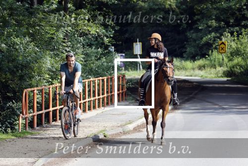 Amsterdamse Bos 26 juni 2021
Fajah Lourens en haar nieuwe vriend Bart Hondebrink in het Amsterdamse bos. Fajah te paard en Bart op een mountainbike