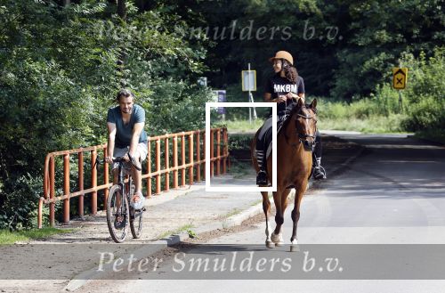 Amsterdamse Bos 26 juni 2021
Fajah Lourens en haar nieuwe vriend Bart Hondebrink in het Amsterdamse bos. Fajah te paard en Bart op een mountainbike