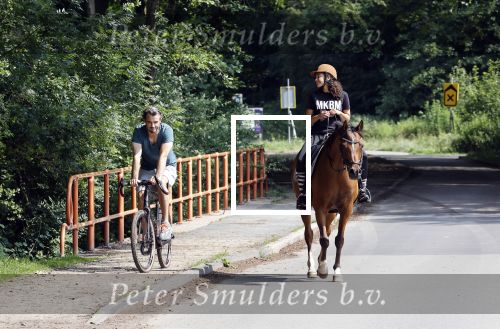 Amsterdamse Bos 26 juni 2021
Fajah Lourens en haar nieuwe vriend Bart Hondebrink in het Amsterdamse bos. Fajah te paard en Bart op een mountainbike