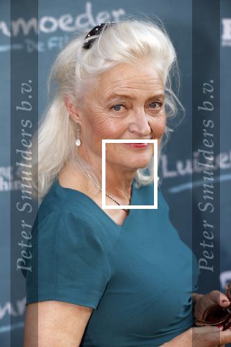 Amsterdam 16 juli 2021
Premiere de Luizenmoeder in Tuschinski. Leny Breederveld