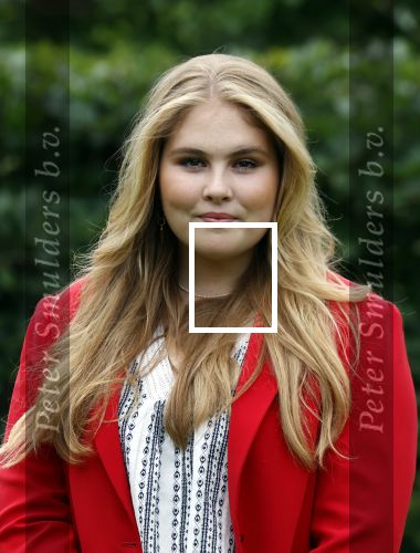 Den haag 16 juli 2021
Koninklijk fotouurtje met Koning Willem Alexander Koningin Maxima Prinses Amalia Alexia en Ariane in de tuin van Paleis Huis ten Bosch.