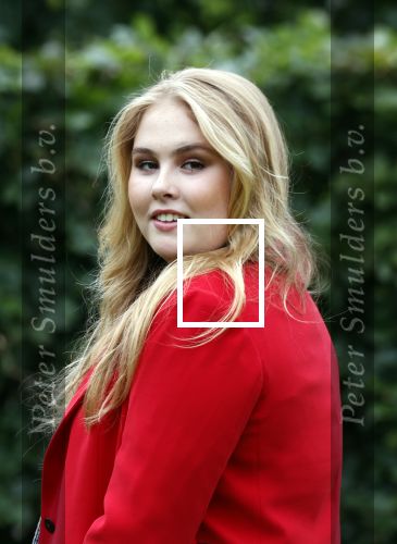 Den haag 16 juli 2021
Koninklijk fotouurtje met Koning Willem Alexander Koningin Maxima Prinses Amalia Alexia en Ariane in de tuin van Paleis Huis ten Bosch.