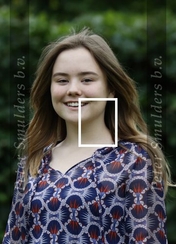 Den haag 16 juli 2021
Koninklijk fotouurtje met Koning Willem Alexander Koningin Maxima Prinses Amalia Alexia en Ariane in de tuin van Paleis Huis ten Bosch.