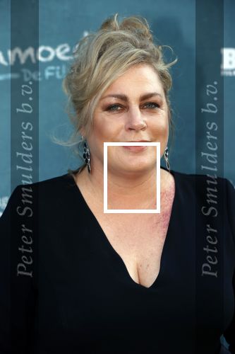 Amsterdam 16 juli 2021
Premiere de Luizenmoeder in Tuschinski.
Rian Gerritsen