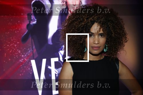 Amsterdam 5 juli 2021
Presentatie Las Vegas show Hans Klok bij the harbour Club.Niels Houtepen (Nick Nielsen ) presenteert het . Sharon Doorson
