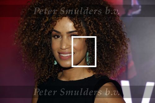 Amsterdam 5 juli 2021
Presentatie Las Vegas show Hans Klok bij the harbour Club.Niels Houtepen (Nick Nielsen ) presenteert het . Sharon Doorson