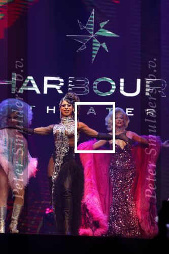 Amsterdam 31 mei 2022
Presentatie Dragshow bij the Harbour club .
Envy Peru, Skyla Versai, Abby omg, Vanessa van Cartier, Sederginne, Janey Jacke en Axel Andro .