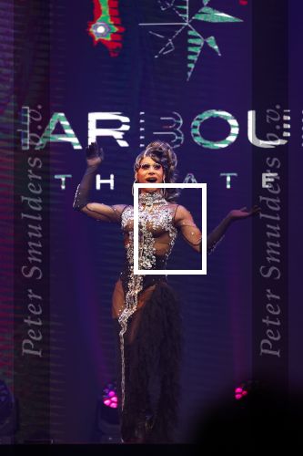 Amsterdam 31 mei 2022
Presentatie Dragshow bij the Harbour club .
Envy Peru, Skyla Versai, Abby omg, Vanessa van Cartier, Sederginne, Janey Jacke en Axel Andro .