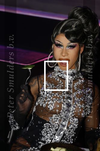 Amsterdam 31 mei 2022
Presentatie Dragshow bij the Harbour club .
Envy Peru, Skyla Versai, Abby omg, Vanessa van Cartier, Sederginne, Janey Jacke en Axel Andro .
