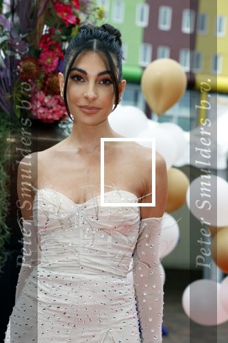 Amsterdam 25 juni 2022
Het damdiner tbv het aidsfonds wordt voor de 30e keer georganiseerd . Het vind dit jaar plaats in AFAS Live. Anna Nooshin