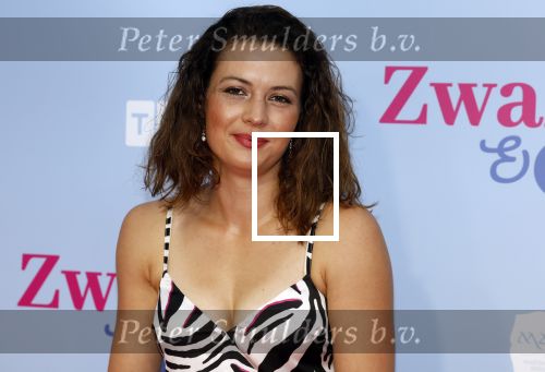 Amsterdam 25 juni 2022
Premiere zwanger en Co in Tuschinski .
Annemieke Koekoek