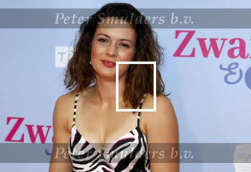 Amsterdam 25 juni 2022
Premiere zwanger en Co in Tuschinski .
Annemieke Koekoek