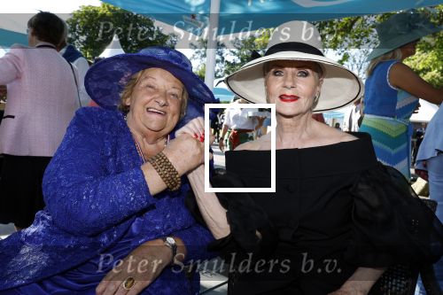 Haarzuilens 22 juni 2022
Haringparty bij kasteel de Haar in Haarzuilens .
Ans Markus en Erica Terpstra