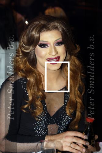 Amsterdam 31 mei 2022
Presentatie Dragshow bij the Harbour club .
Envy Peru, Skyla Versai, Abby omg, Vanessa van Cartier, Sederginne, Janey Jacke en Axel Andro .