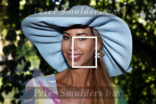 Haarzuilens 22 juni 2022
Haringparty bij kasteel de Haar in Haarzuilens .
Carolien ter Linden in jurk van Addy v d Krommenacker