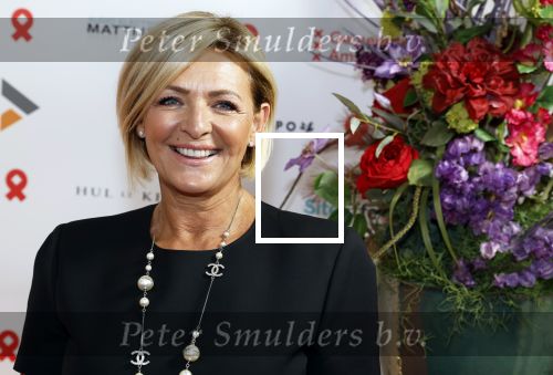 Amsterdam 25 juni 2022
Het damdiner tbv het aidsfonds wordt voor de 30e keer georganiseerd . Het vind dit jaar plaats in AFAS Live. Caroline Tensen