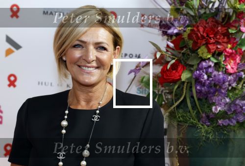 Amsterdam 25 juni 2022
Het damdiner tbv het aidsfonds wordt voor de 30e keer georganiseerd . Het vind dit jaar plaats in AFAS Live. Caroline Tensen