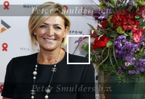 Amsterdam 25 juni 2022
Het damdiner tbv het aidsfonds wordt voor de 30e keer georganiseerd . Het vind dit jaar plaats in AFAS Live. Caroline Tensen