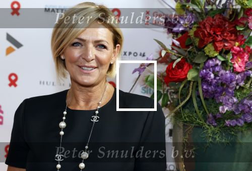Amsterdam 25 juni 2022
Het damdiner tbv het aidsfonds wordt voor de 30e keer georganiseerd . Het vind dit jaar plaats in AFAS Live. Caroline Tensen