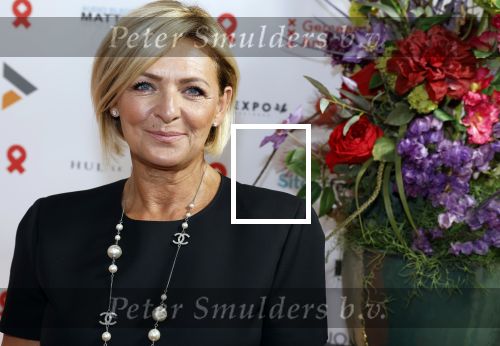 Amsterdam 25 juni 2022
Het damdiner tbv het aidsfonds wordt voor de 30e keer georganiseerd . Het vind dit jaar plaats in AFAS Live. Caroline Tensen