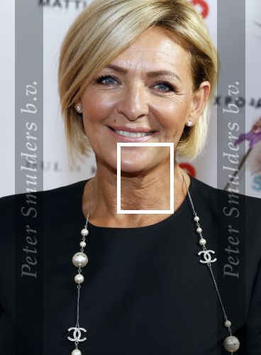 Amsterdam 25 juni 2022
Het damdiner tbv het aidsfonds wordt voor de 30e keer georganiseerd . Het vind dit jaar plaats in AFAS Live. Caroline Tensen