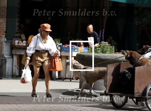 Amsterdam 5 juli 2022
Connie Witteman komt haar eigen hond tegen op de corneliss chuytstraat  die door uitlaatservice uitgelaten wordt