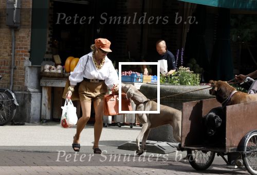 Amsterdam 5 juli 2022
Connie Witteman komt haar eigen hond tegen op de corneliss chuytstraat  die door uitlaatservice uitgelaten wordt