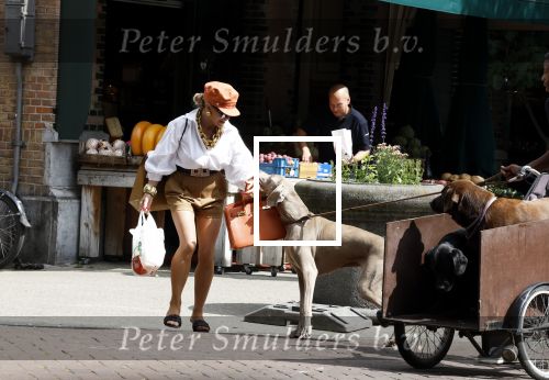 Amsterdam 5 juli 2022
Connie Witteman komt haar eigen hond tegen op de corneliss chuytstraat  die door uitlaatservice uitgelaten wordt