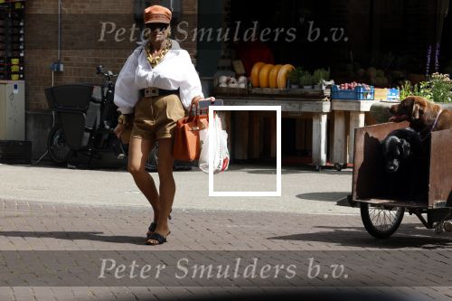 Amsterdam 5 juli 2022
Connie Witteman komt haar eigen hond tegen op de corneliss chuytstraat  die door uitlaatservice uitgelaten wordt