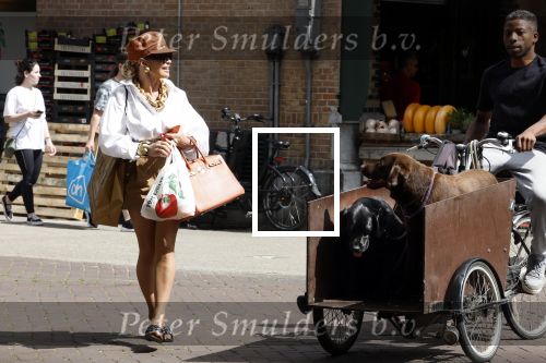 Amsterdam 5 juli 2022
Connie Witteman komt haar eigen hond tegen op de corneliss chuytstraat  die door uitlaatservice uitgelaten wordt