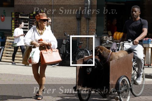 Amsterdam 5 juli 2022
Connie Witteman komt haar eigen hond tegen op de corneliss chuytstraat  die door uitlaatservice uitgelaten wordt