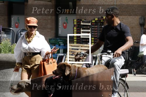 Amsterdam 5 juli 2022
Connie Witteman komt haar eigen hond tegen op de corneliss chuytstraat  die door uitlaatservice uitgelaten wordt