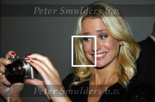 Amsterdam 15 oktober 2015
Uitreiking van de 50e televizierring in carre. 
Dionne Stax