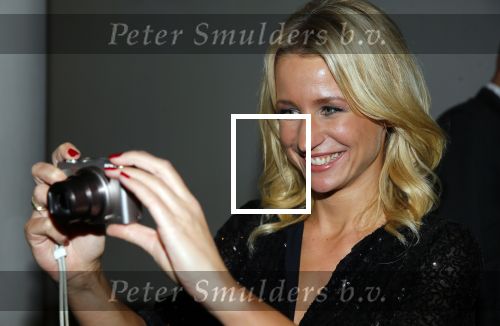 Amsterdam 15 oktober 2015
Uitreiking van de 50e televizierring in carre. 
Dionne Stax