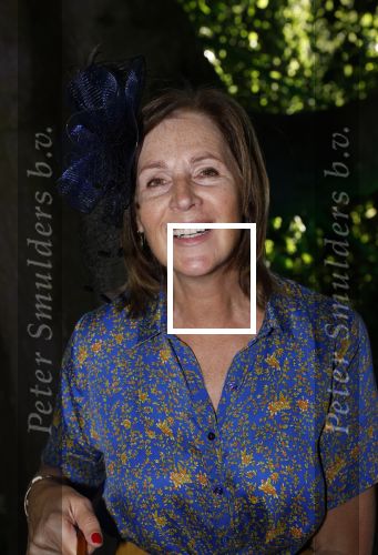 Haarzuilens 22 juni 2022
Haringparty bij kasteel de Haar in Haarzuilens .
Elzemieke Havinga