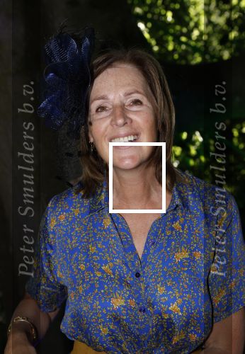 Haarzuilens 22 juni 2022
Haringparty bij kasteel de Haar in Haarzuilens .
Elzemieke Havinga