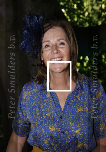Haarzuilens 22 juni 2022
Haringparty bij kasteel de Haar in Haarzuilens .
Elzemieke Havinga