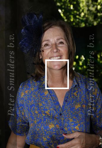 Haarzuilens 22 juni 2022
Haringparty bij kasteel de Haar in Haarzuilens .
Elzemieke Havinga