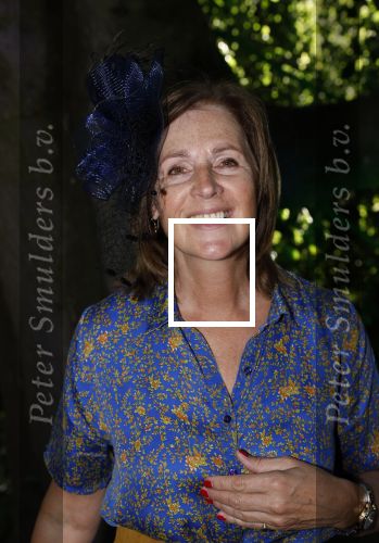 Haarzuilens 22 juni 2022
Haringparty bij kasteel de Haar in Haarzuilens .
Elzemieke Havinga