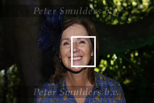 Haarzuilens 22 juni 2022
Haringparty bij kasteel de Haar in Haarzuilens .
Elzemieke Havinga