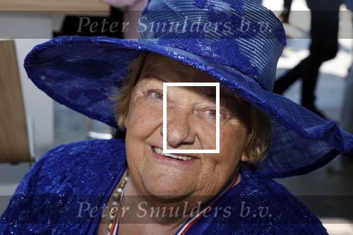 Haarzuilens 22 juni 2022
Haringparty bij kasteel de Haar in Haarzuilens .
Erica Terpstra op krukken en voet in gips