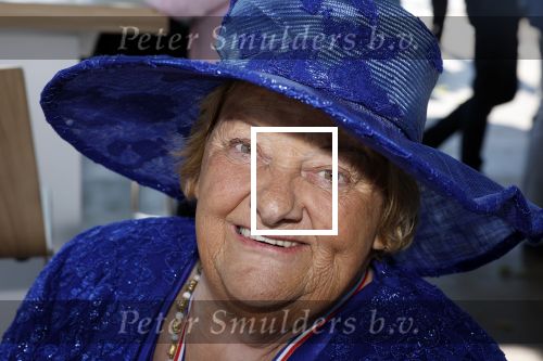 Haarzuilens 22 juni 2022
Haringparty bij kasteel de Haar in Haarzuilens .
Erica Terpstra op krukken en voet in gips