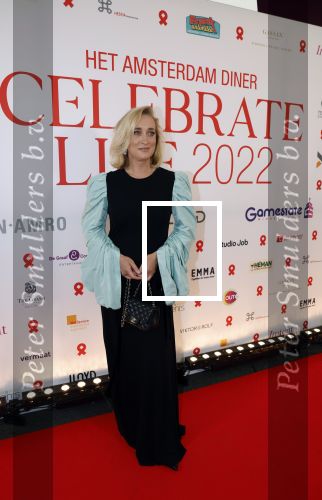 Amsterdam 25 juni 2022
Het damdiner tbv het aidsfonds wordt voor de 30e keer georganiseerd . Het vind dit jaar plaats in AFAS Live. Eva Jinek kwam met Peter v d Vorst en Bob Sikkes