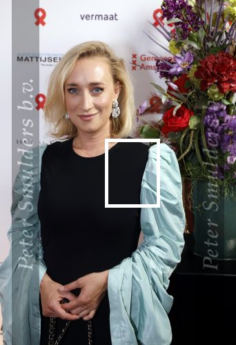 Amsterdam 25 juni 2022
Het damdiner tbv het aidsfonds wordt voor de 30e keer georganiseerd . Het vind dit jaar plaats in AFAS Live. Eva Jinek kwam met Peter v d Vorst en Bob Sikkes