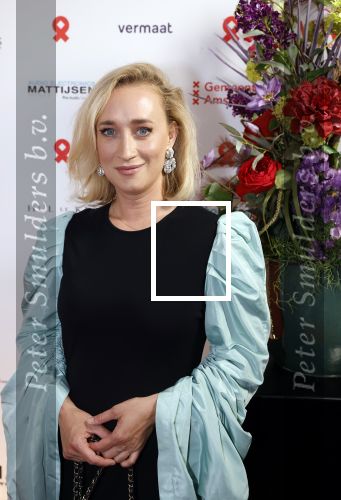Amsterdam 25 juni 2022
Het damdiner tbv het aidsfonds wordt voor de 30e keer georganiseerd . Het vind dit jaar plaats in AFAS Live. Eva Jinek kwam met Peter v d Vorst en Bob Sikkes