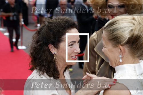 Amsterdam 25 juni 2022
Het damdiner tbv het aidsfonds wordt voor de 30e keer georganiseerd . Het vind dit jaar plaats in AFAS Live. Prinses Mabel en Femke Halsema