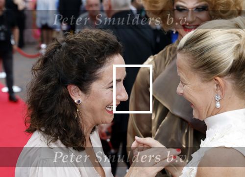 Amsterdam 25 juni 2022
Het damdiner tbv het aidsfonds wordt voor de 30e keer georganiseerd . Het vind dit jaar plaats in AFAS Live. Prinses Mabel en Femke Halsema