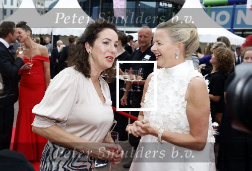 Amsterdam 25 juni 2022
Het damdiner tbv het aidsfonds wordt voor de 30e keer georganiseerd . Het vind dit jaar plaats in AFAS Live. Prinses Mabel en Femke Halsema