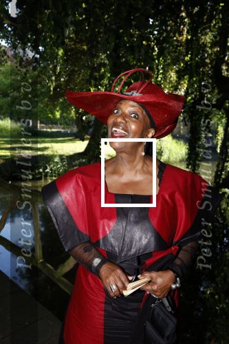 Haarzuilens 22 juni 2022
Haringparty bij kasteel de Haar in Haarzuilens .
Gerda Havertong